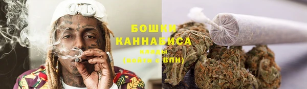 индика Зеленокумск