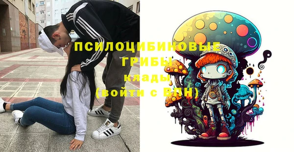 индика Зеленокумск