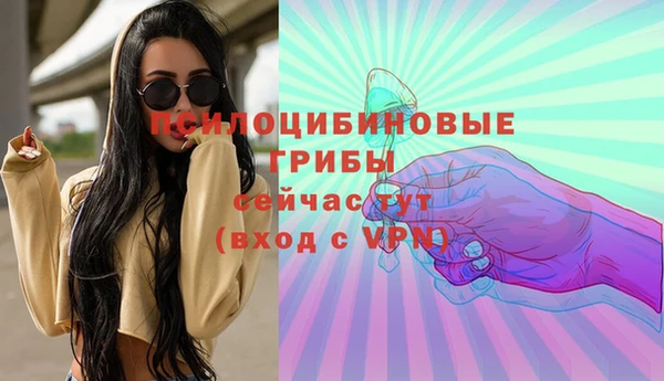 ГАЛЛЮЦИНОГЕННЫЕ ГРИБЫ Зеленодольск