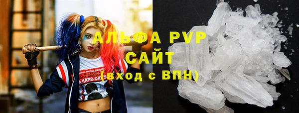 гашик Инта