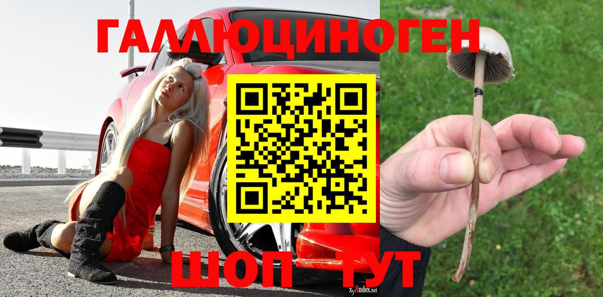 Псилоцибиновые грибы мицелий  Вход с VPN  Советск 