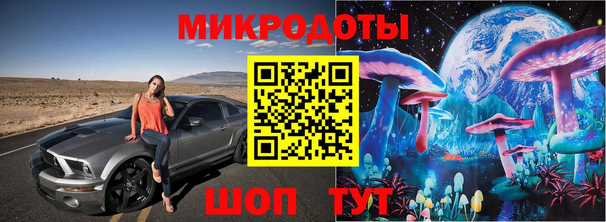 Псилоцибиновые грибы Psilocybe Советск