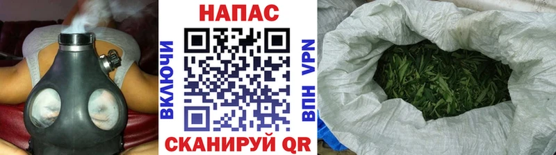 Бошки марихуана MAZAR Советск